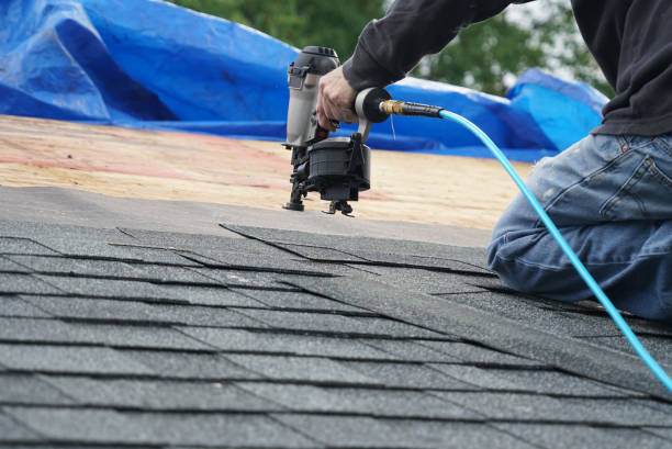 Professional Roofing Contractor in Battlefield, MO